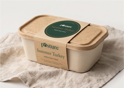 Summer Turkey