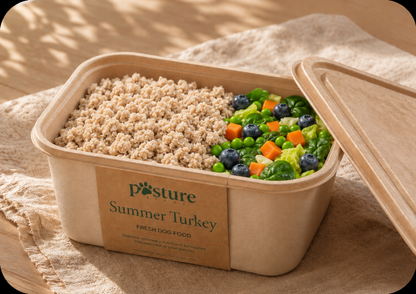 Summer Turkey